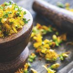 Heilpflanze – das Johanniskraut