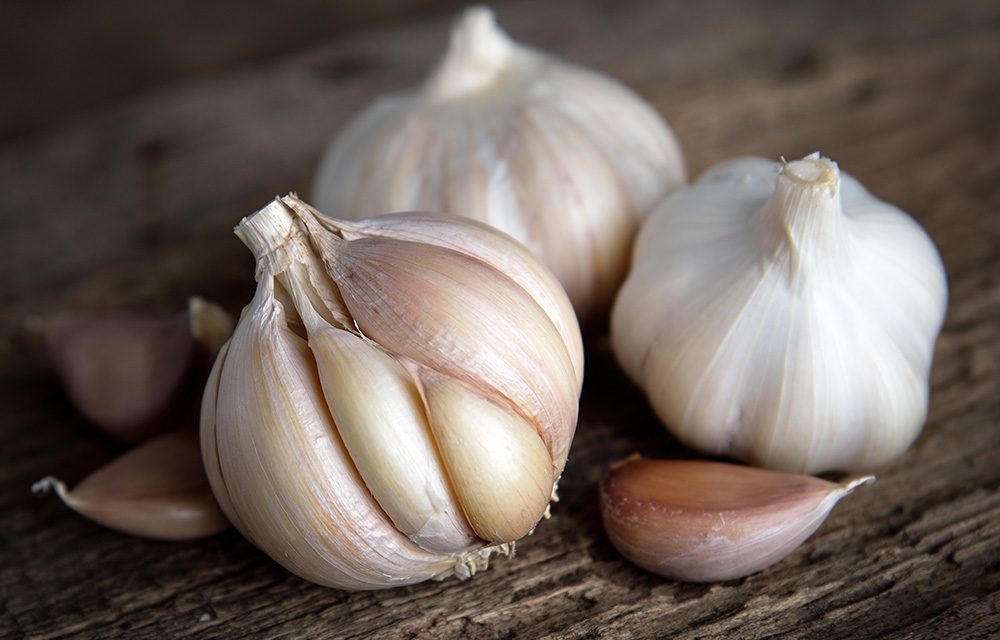 Heilpflanze – der Knoblauch