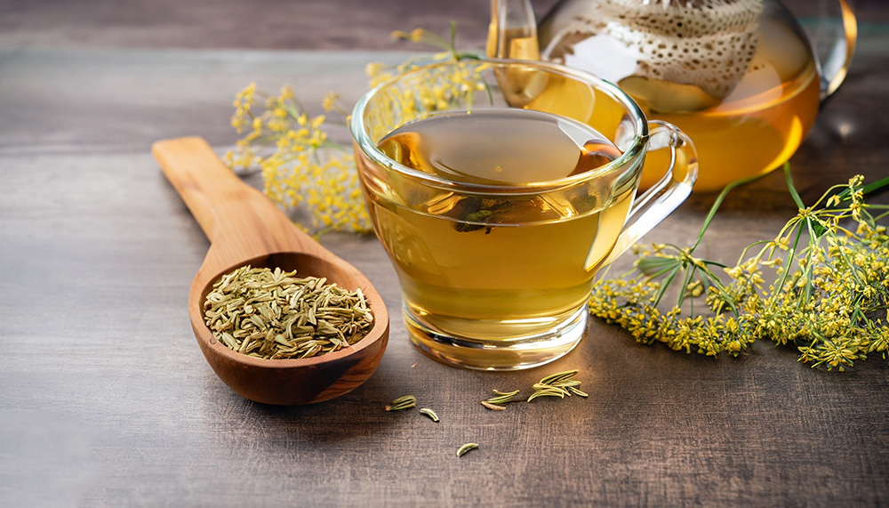 Heilpflanze – der Fenchel