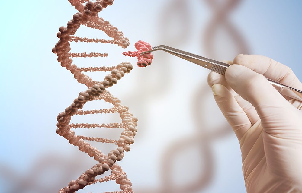 Unsere Gene: Geprägt von traumatischen Erlebnissen