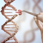 Unsere Gene: Geprägt von traumatischen Erlebnissen