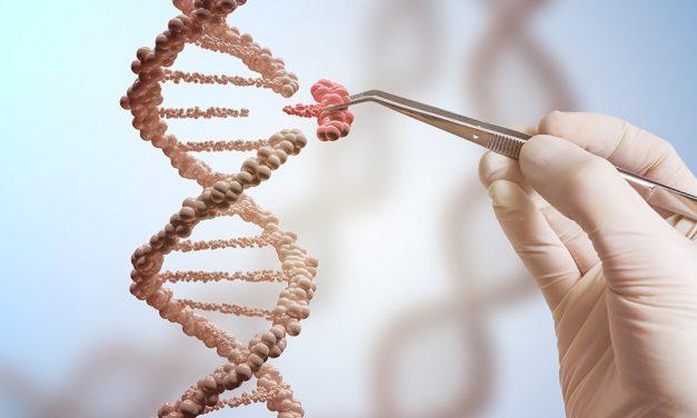 Unsere Gene: Geprägt von traumatischen Erlebnissen