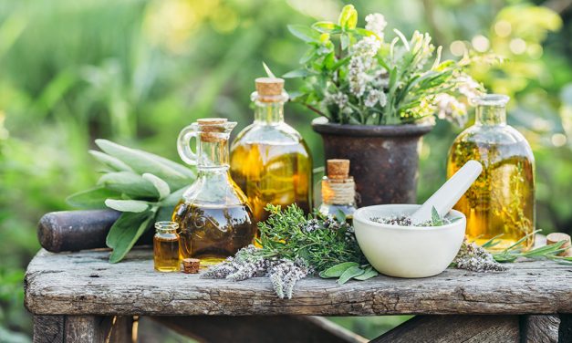 Wunder der Natur in der heutigen Medizin