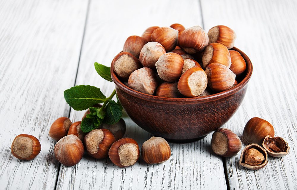 Haselnuss – Kalzium, Phosphor, Eisen und Kalium sowie reichlich B-Vitamine und Vitamin E