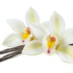 Vanille und Vanillin – der kleine Unterschied