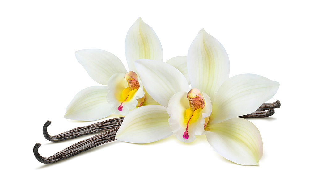 Vanille und Vanillin – der kleine Unterschied