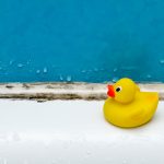 Schimmel an der Wand und auf Lebensmitteln – Die Gefahr der Mykotoxine