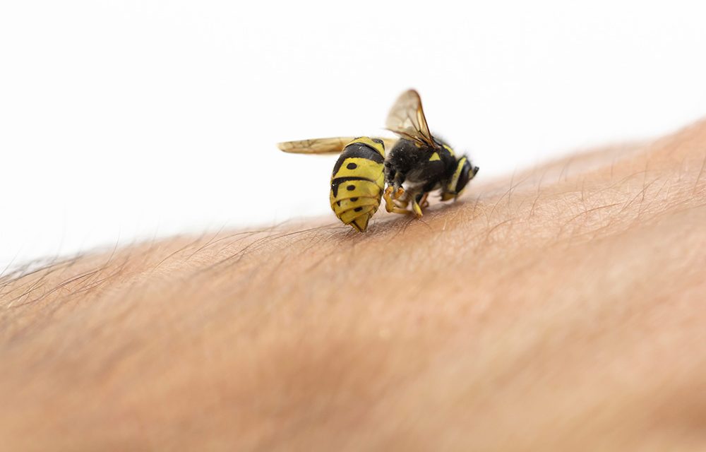 Hilfe, ein Insektenstich!