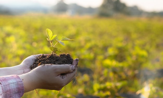 Biodiversität & Gesundheit: ein starkes Team!
