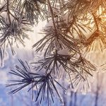 Gut geschützt in die Wintersonne – Vor UV Strahlung schützen!