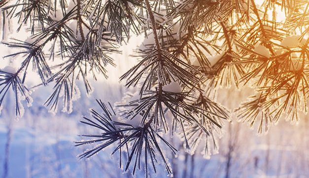 Gut geschützt in die Wintersonne – Vor UV Strahlung schützen!