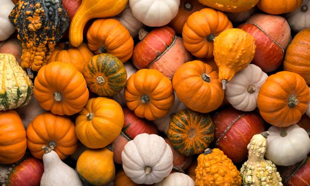 Heilsbringer Kürbis? Abnehmcoach klärt über den Kürbis als Herbst-Diät auf