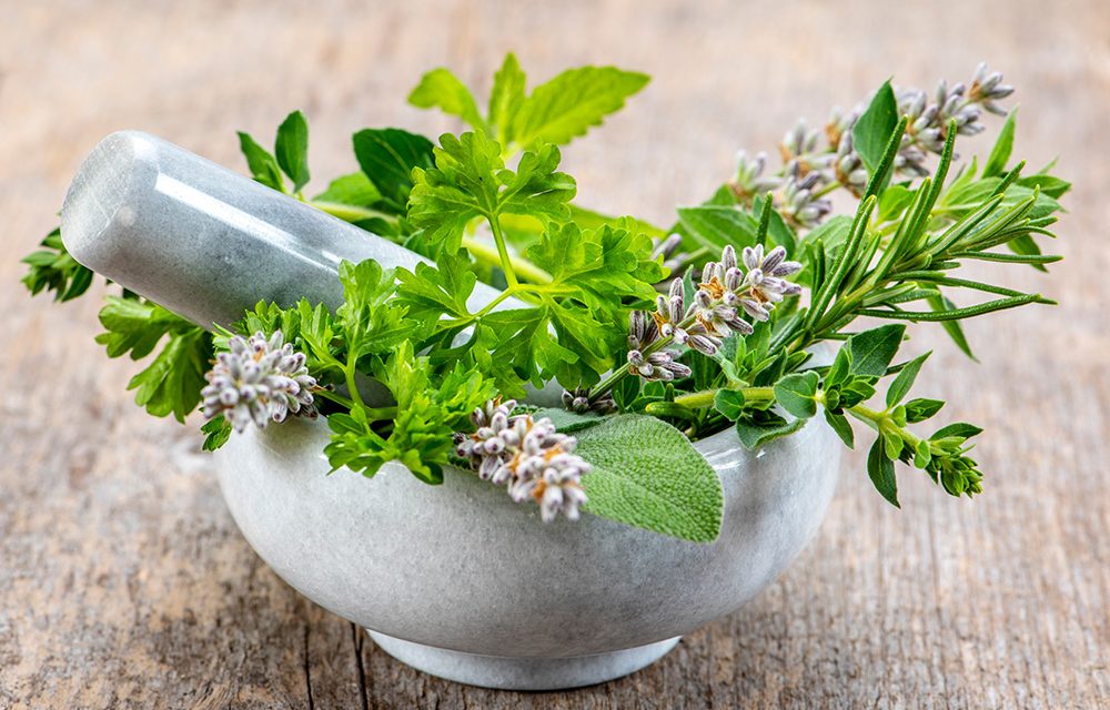 Mit der Kraft der Natur: Heilpflanzen richtig anwenden
