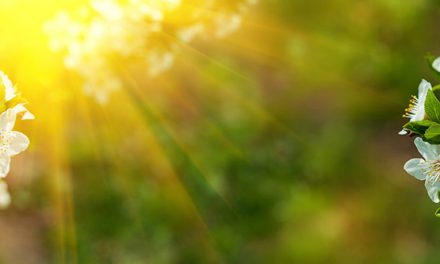 Bauchgefühle im Frühling