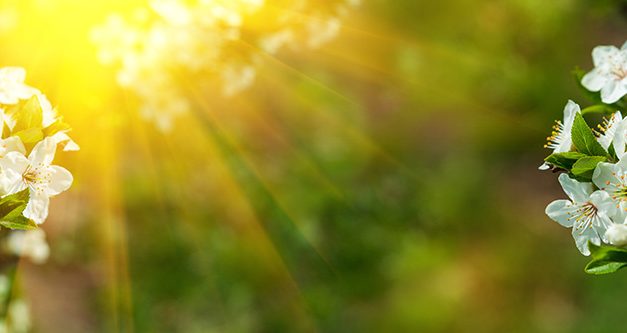 Bauchgefühle im Frühling