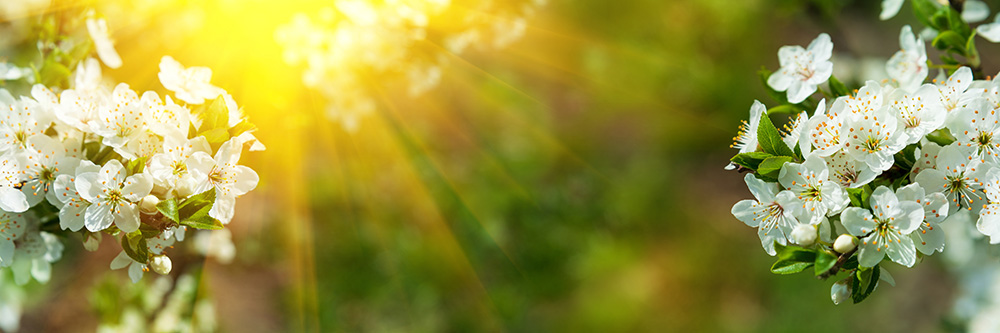 Bauchgefühle im Frühling