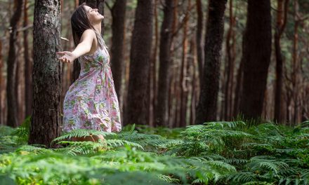 Waldbaden – eine grüne Auszeit für Körper, Geist und Seele