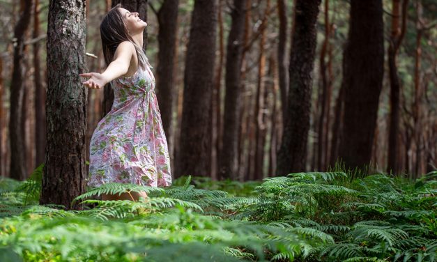 Waldbaden – eine grüne Auszeit für Körper, Geist und Seele